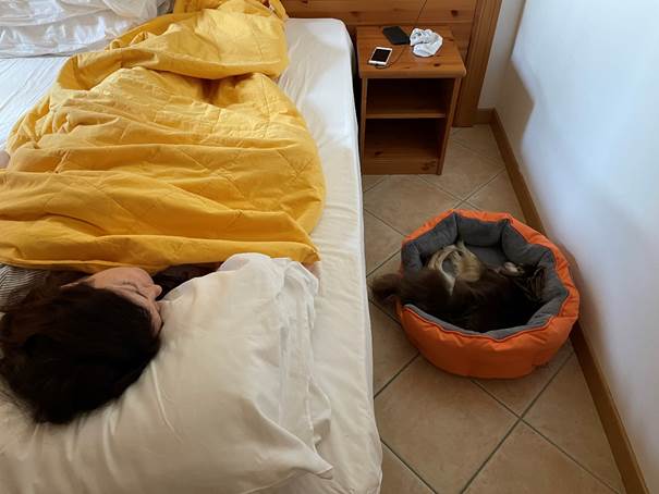 Ein Bild, das drinnen enthält.
Automatisch generierte Beschreibung