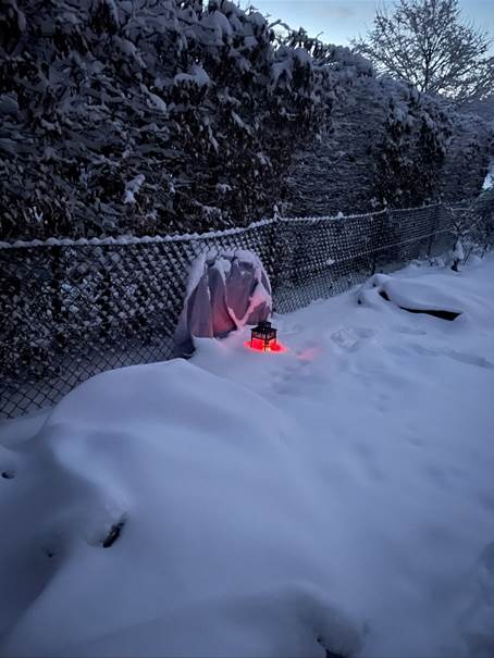 Ein Bild, das draußen, Schnee, Person, Natur enthält.
Automatisch generierte Beschreibung
